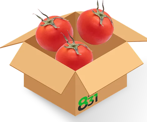 第3弾 商品一覧 | code:831