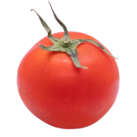 野菜紹介】高リコピントマト | code:831